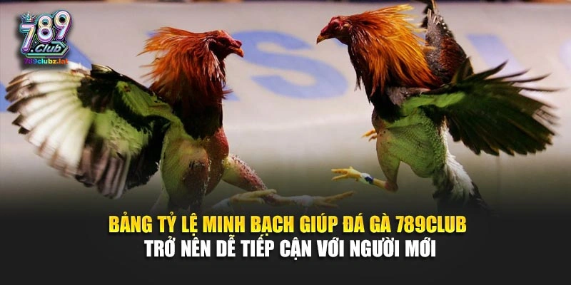 Bảng tỷ lệ minh bạch giúp đá gà 789Club trở nên dễ tiếp cận với người mới