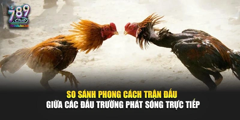 So sánh phong cách trận đấu giữa các đấu trường phát sóng trực tiếp