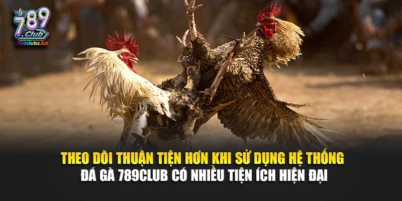 Theo dõi thuận tiện hơn khi sử dụng hệ thống đá gà 789Club có nhiều tiện ích hiện đại